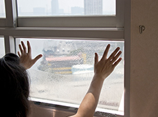 Klebefolie als Dekoartikel lieferbar: Fensterbilder für jede Jahreszeit