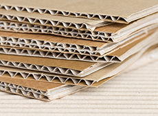 DISPA Papierplatten sind umweltfreundlich