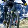Mountain bike rider with protectors  rides up a single trail i / Sport